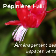 Aménagement des Espaces verts