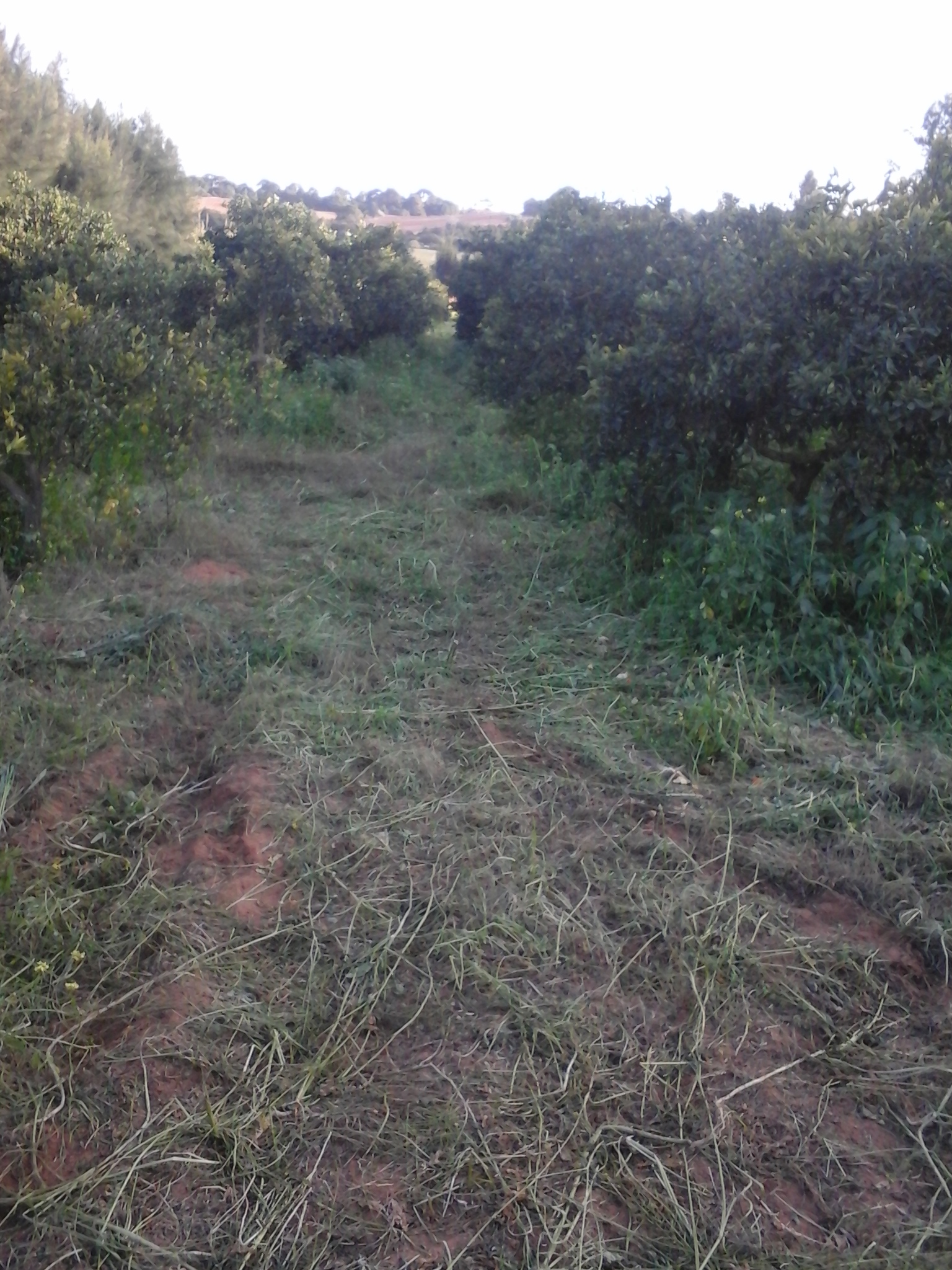 مستثمرة فلاحية بامتياز ذات ارباح للبيع