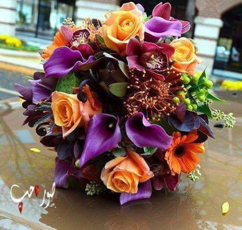 زواج الحلال للجادين فقط