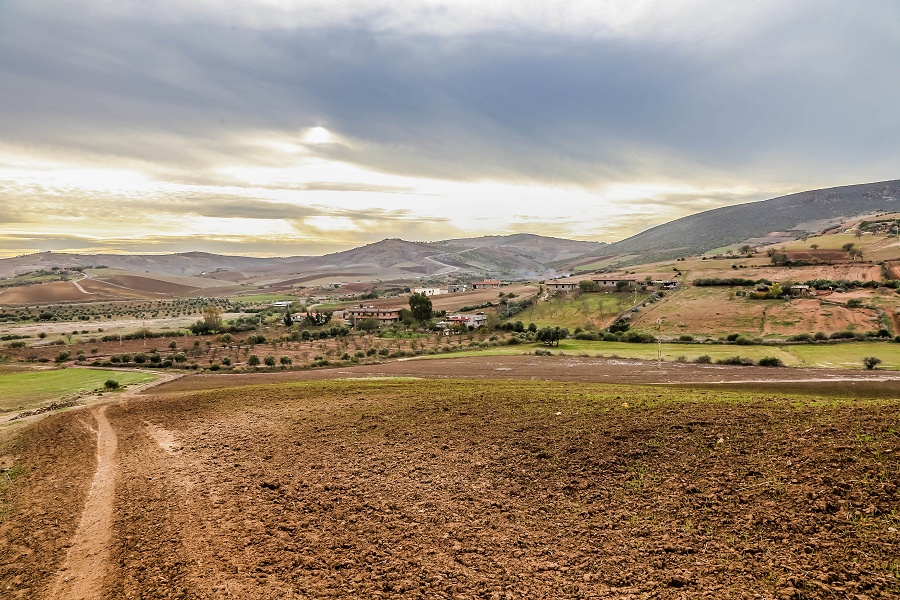 Vente Terre agricole de 37 Hectares à Oulhaça (Sidi Ouriache)