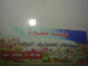 البحث عن مشروع استثماري