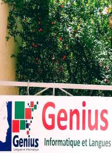 المدارس الوطنية الخاصة بتعليم اللغات الأجنبية / شهادة معترف بها مع امكانية التدريس بها