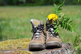 Groupe d'amis de voyage ...