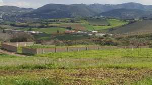 a vendre terrain a boumerdes