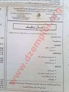 إعلان توظيف في ديوان الترقية والتسيير العقاري للدار البيضاء ولاية الجزائر أفريل 2018