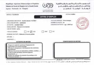 Offre emploi anem Tlemcen