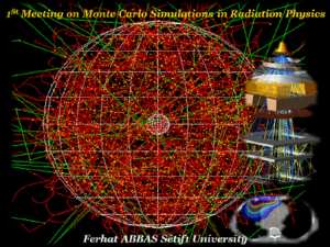 1St Meeting on Monte Carlo Simulations in Radiation Physics