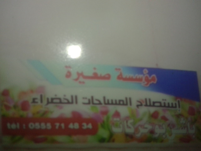 البحث عن مشروع استثماري