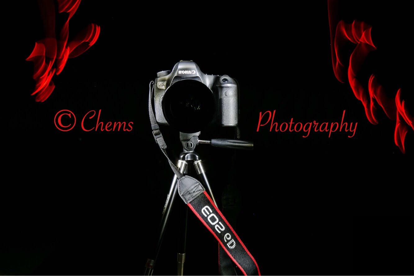 Photographe