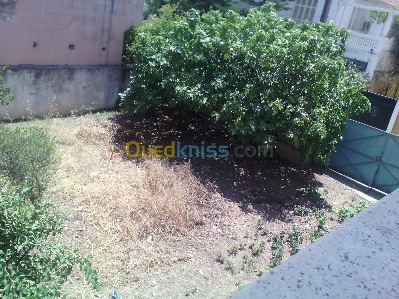 بيع قطعة ارض ب البليدة