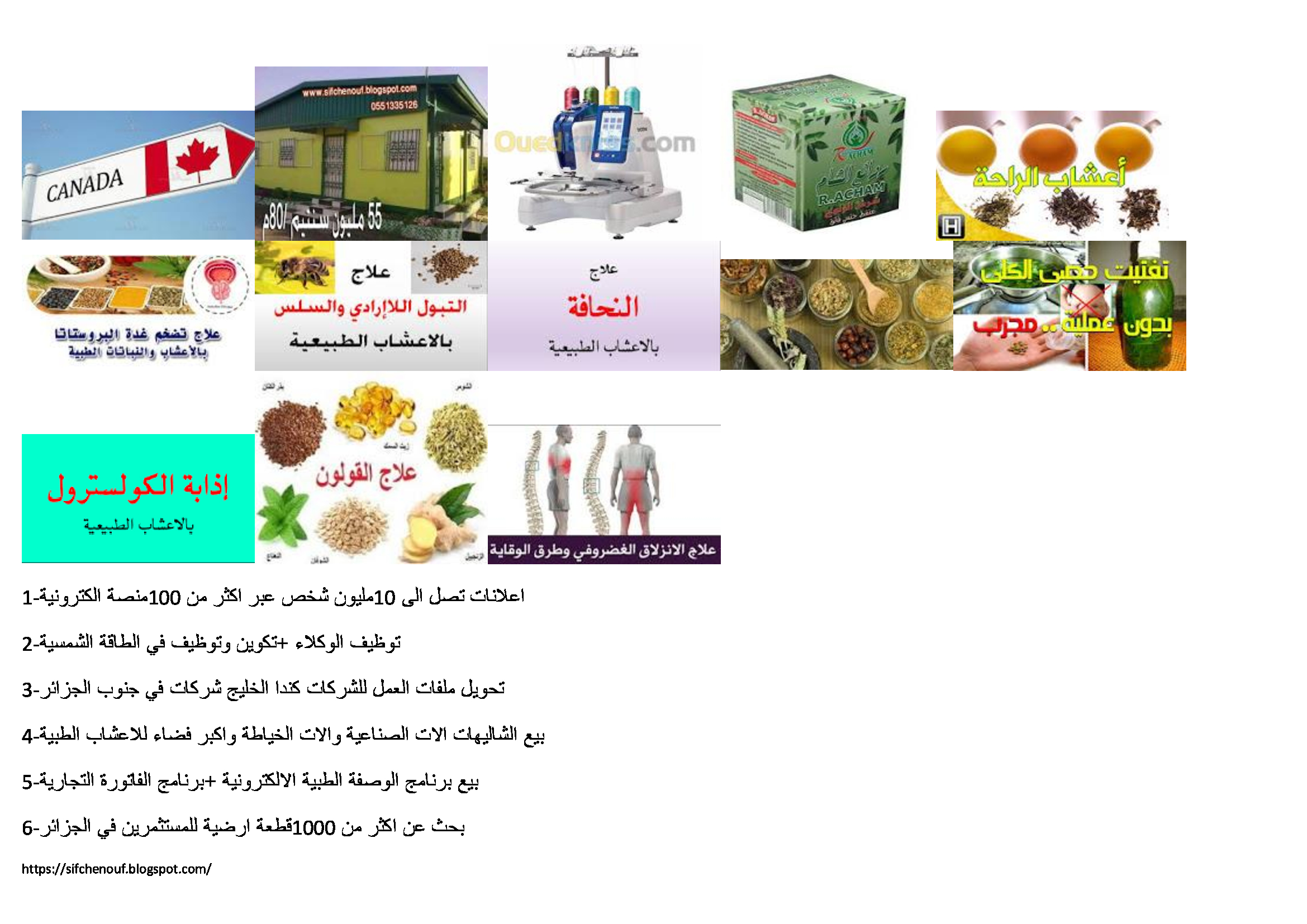 70الف قطعة ارضية استثمارية في الجزائر