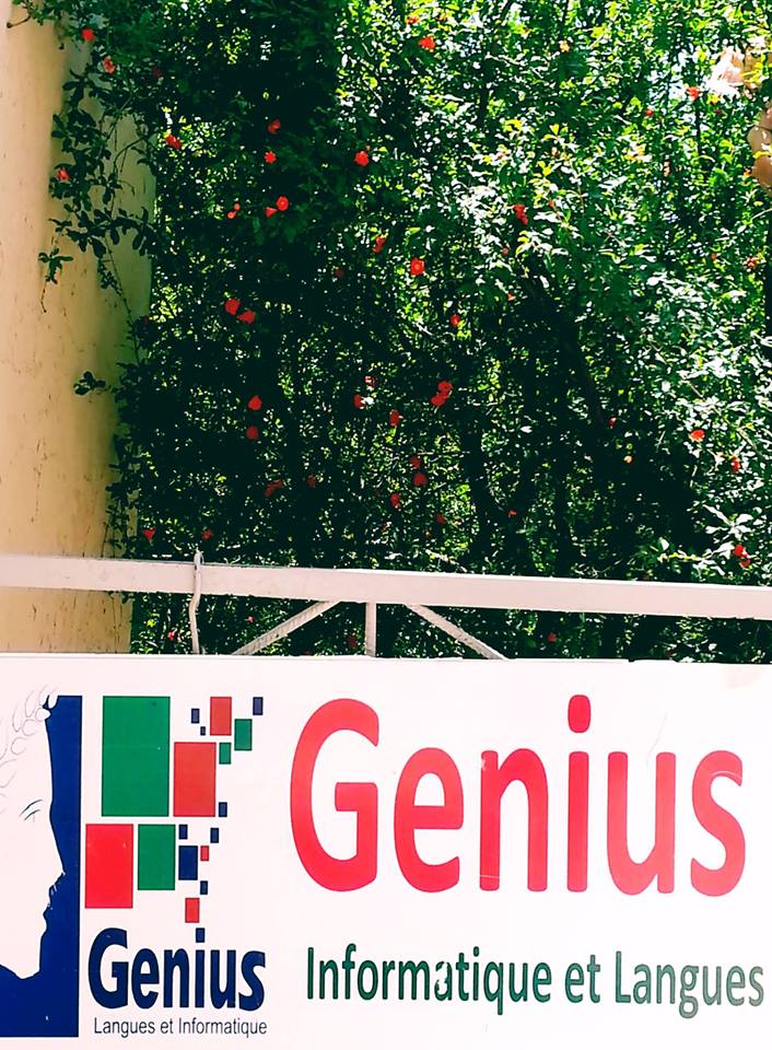 المدارس الوطنية الخاصة بتعليم اللغات الأجنبية / شهادة معترف بها مع امكانية التدريس بها