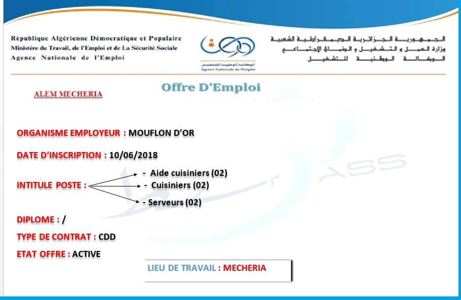 Alem Mecheria;Offres d'emploi