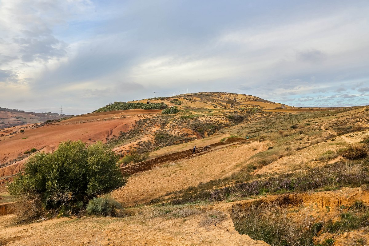 Vente terre agricole de 37 Hectares à Oulhaça