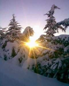 cheche femme en vue mariage