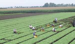 إيطاليا تفتح أبواب التوظيف للجزائريين