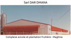 Complexe Avicole et Plantation Fruitière - Maghnia