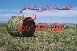 خدمات فلاحية