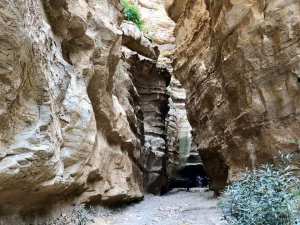 Rendonnée Au Canion De TAFRAOUI · Organisé par Hiking club tlemcen