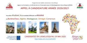 Appel à candidature : Bourses de mobilité Intra-Afrique - AFRIDI