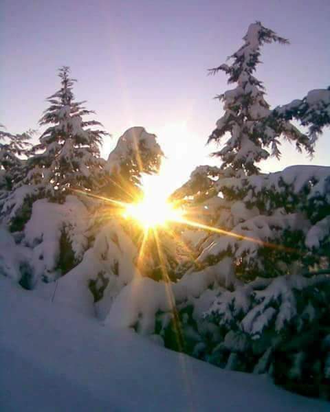 cheche femme en vue mariage