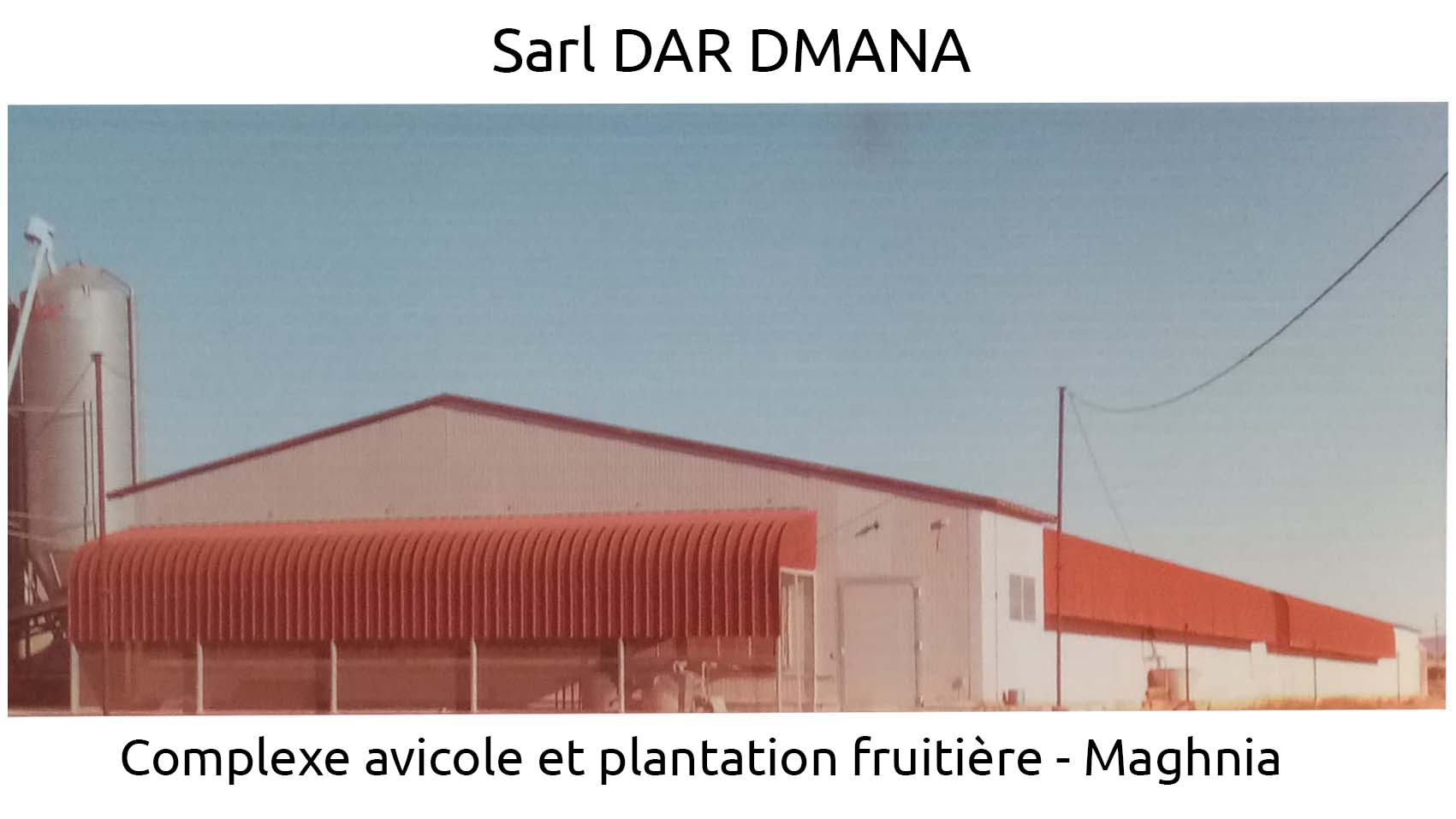 Complexe Avicole et Plantation Fruitière - Maghnia