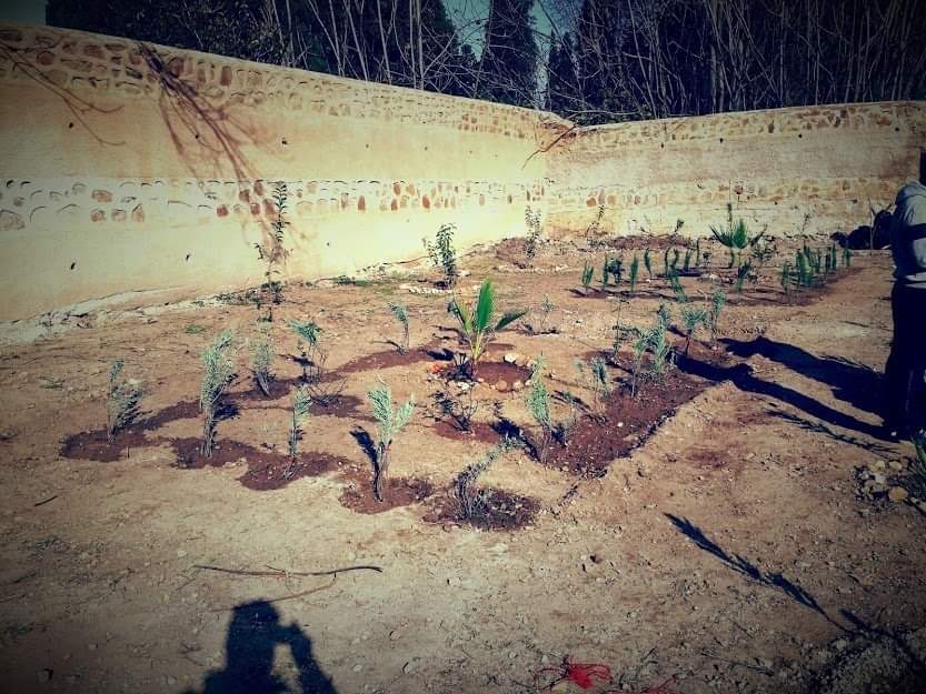 Jardinage à El-Kalaa · Organisé par Colibris Vert