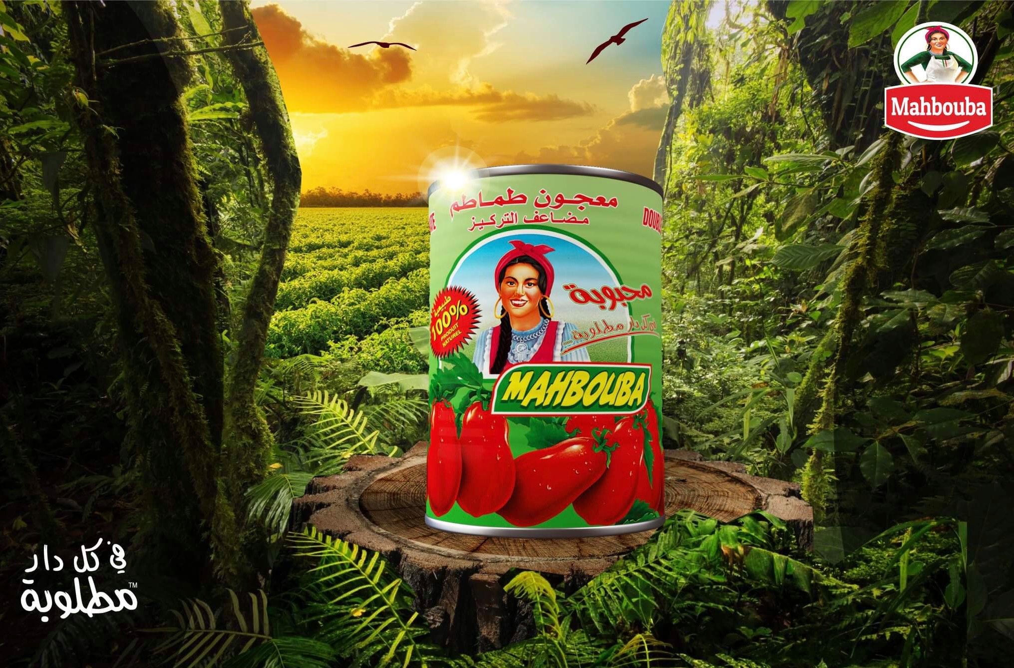 Mahbouba tomates