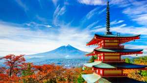 Offers of paid scholarship from Japan