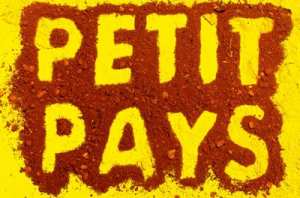 JOURNÉES D'EXPRESSION FRANCOPHONE / RENCONTRE AVEC GAËL FAYE