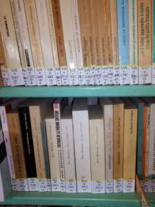 Les Glycines Centre d'Etudes Diocésain Alger