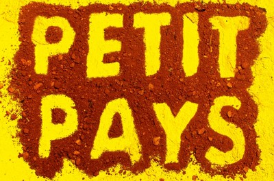 JOURNÉES D'EXPRESSION FRANCOPHONE / RENCONTRE AVEC GAËL FAYE