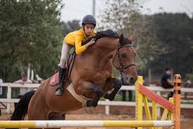 Équitation à Tipaza avec yes Adventures