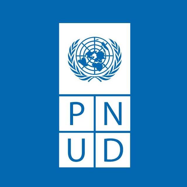 PNUD Algérie recrute Consultant Senior Appui à la communication et au plaidoyer