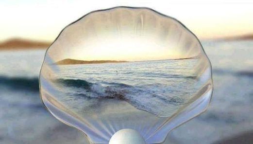 Formation sur les principes de préparation des dents en prothèse conjointe