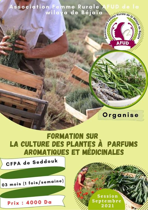 Formation sur la conduite de la culture des plantes à parfums aromatiques et médicinales