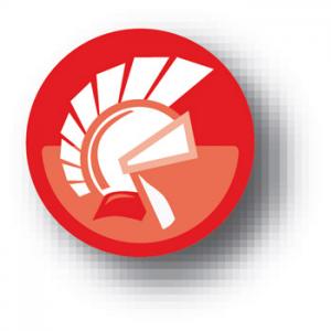 STE cherche dev. Delphi