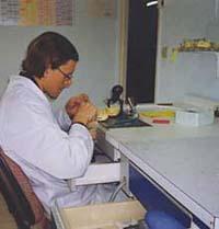 Labo prothèse dentaire