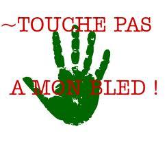 كيف تخُرب البلاد ؟ ...