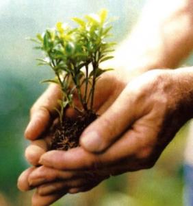 IMPORTANTE UNITÉ DE PRODUCTION À ORAN