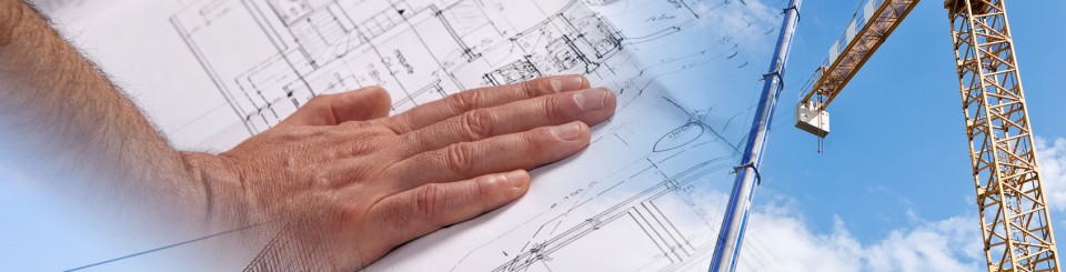 Directeur des Projets