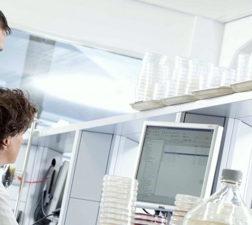 Important laboratoire