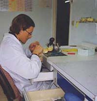 Labo prothèse dentaire