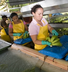 Emploie jeunes filles ds entreprise alimentaire