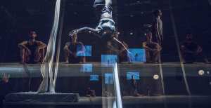 التدريب والنشاطات الإقليمية