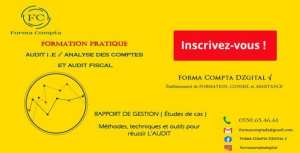AUDIT I.E / ANALYSE DES COMPTES ET AUDIT FISCAL ° SB Formation Pratique