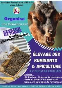 #Formation en Elevage des Ruminants et Apiculture
