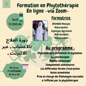 Formation en Phytothérapie (En Ligne)