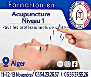 Formation en Acupuncture Niveau 1
