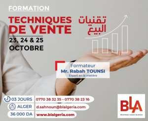 FORMATION  TECHNIQUES DE VENTE  (Places limitées)